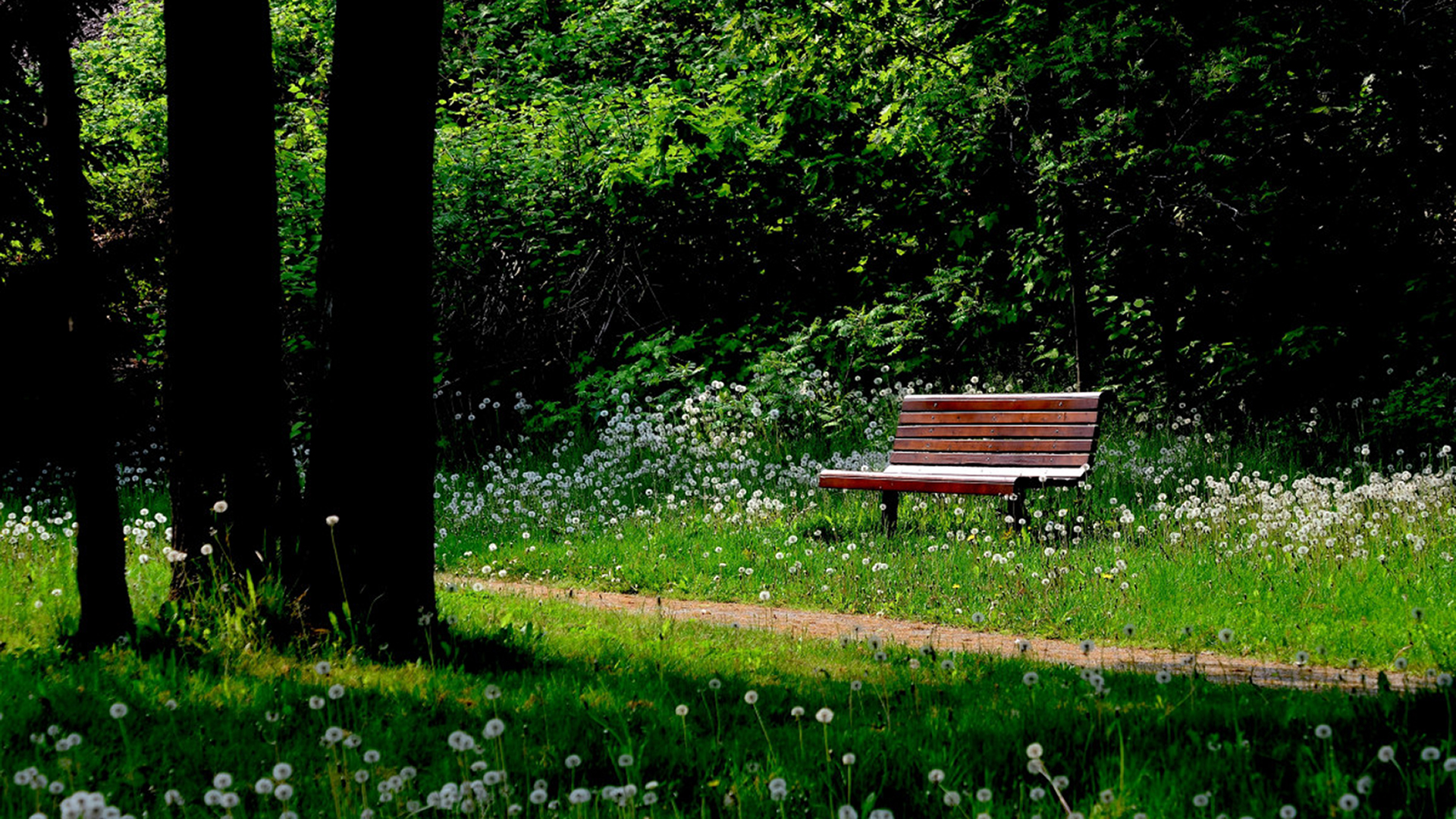 bench (8)